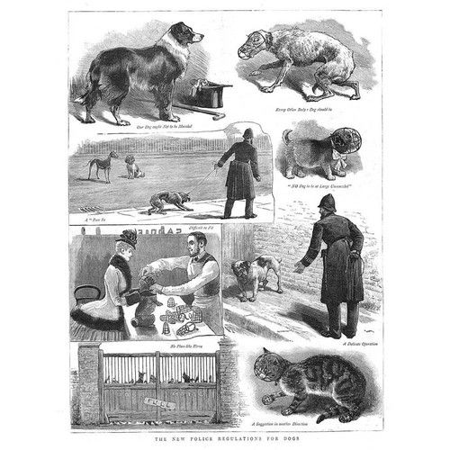 Dogs the new - dogs, police