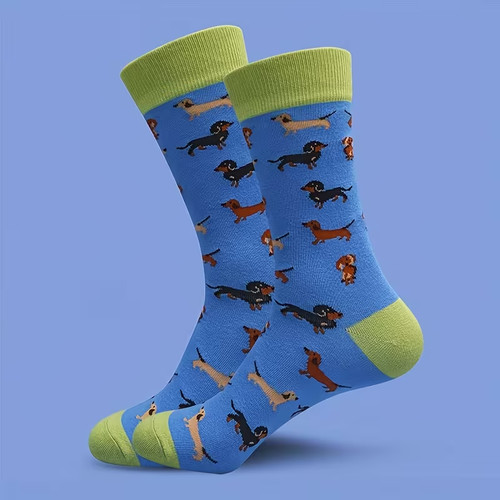Dachshund sausage dog socks - sausage,