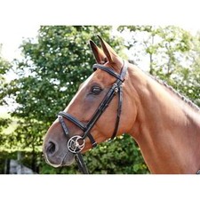 John Whitaker Barton flash