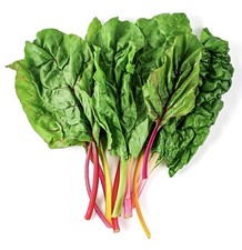 Swiss Chard Rainbow Mix ~ 50