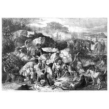 Gone to Ground Victorian Fox