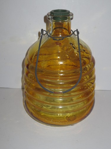 Vintage fly wasp - vintage, insect