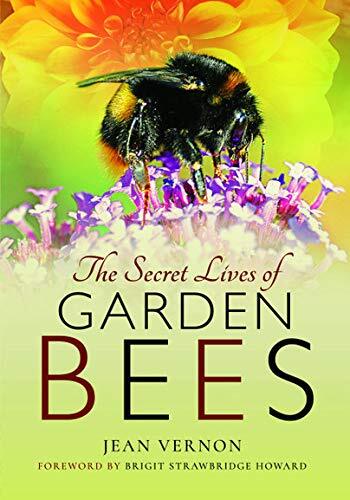 The secret lives garden - secret,