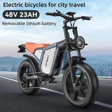 20" Electric Bike Dual Motor
