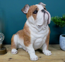 Large British Bulldog