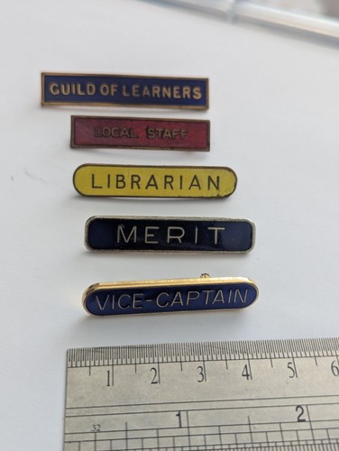 Vintage school enamel pin - enamel,