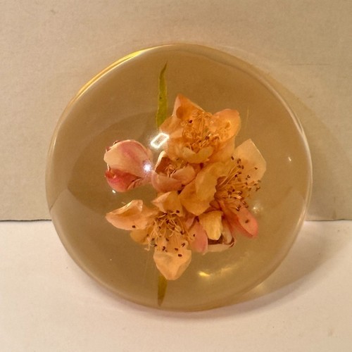 Vintage resin paperweight - resin,