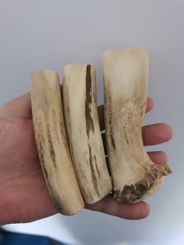 386 elk horn - horn, handle