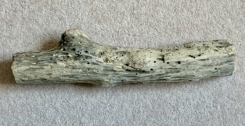 Driftwood large 43cm untreated - large,