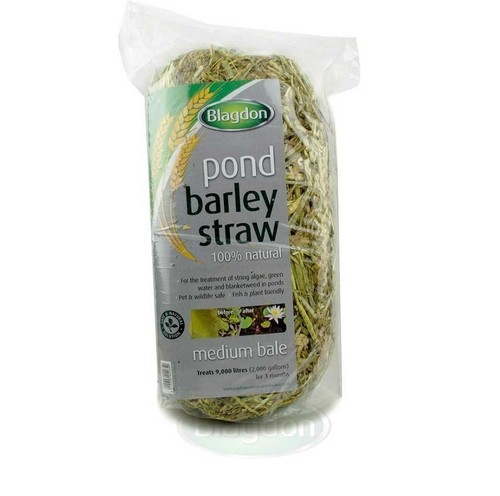 Blagdon barley straw - barley, bales