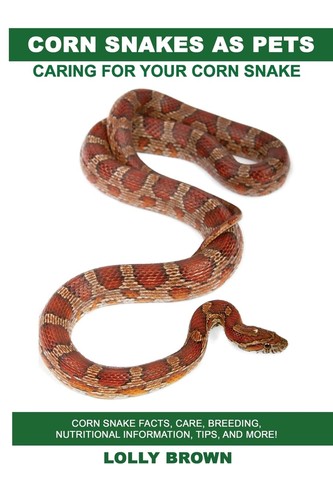 Corn snakes pets snake - snakes,
