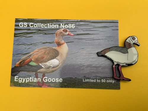 None rspb badges - badges, gs