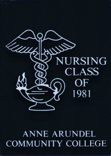 College yearbook anne arundel - yearbook,