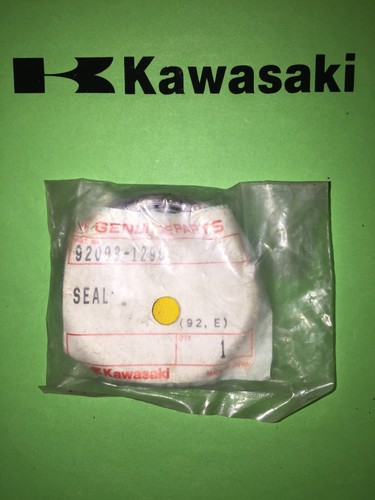 Kawasaki zxr 250 400 - zxr,