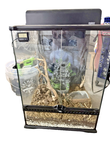 Exo terra 18x18x24 glass - terra,