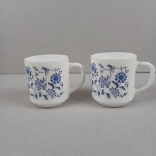 2 x Arcopal Blue Onion Aster