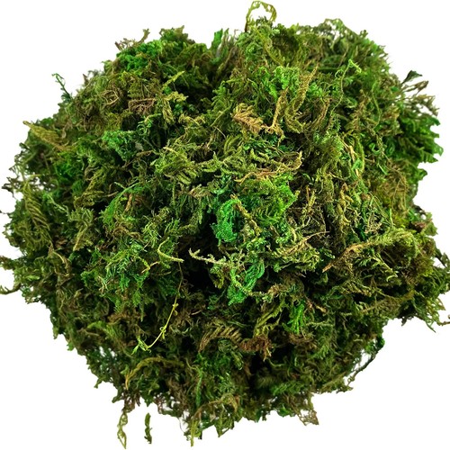 Artificial moss green for - artificial,
