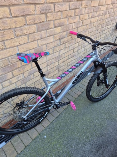 Ragley mmmbop hardtail - ragley,