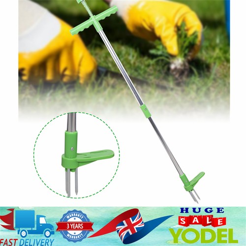 Weed cutter dandelion - cutter,