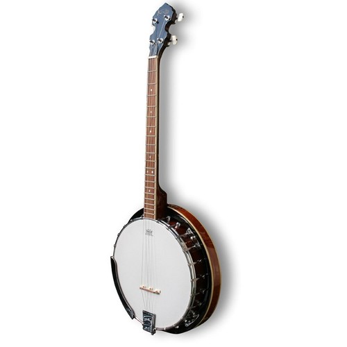 Banjo tenor string - string, fret