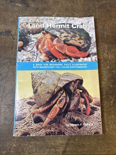 All about land hermit crabs - land,