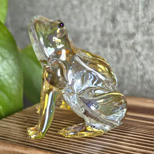 Yellow glass frog - frog, –