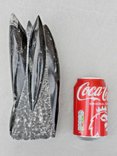 A tower of 5/6 Orthoceras (straight nautilus) fossils - Devonian c400m years old