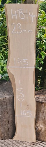 Hornbeam live edge slab - live,