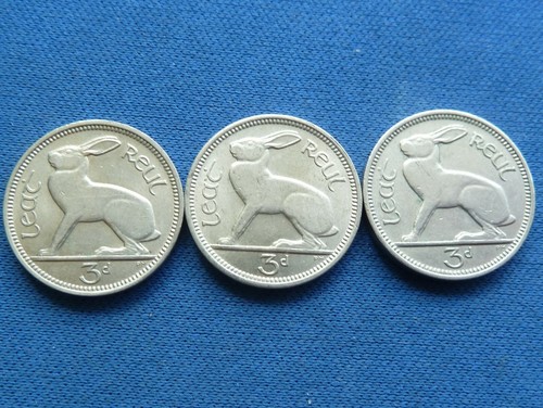 Set irish hare - 3,