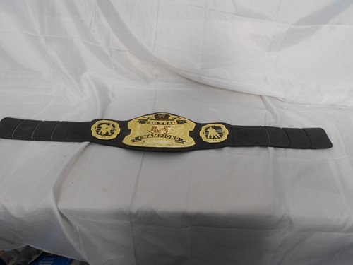 Wwe tag team champions - tag,