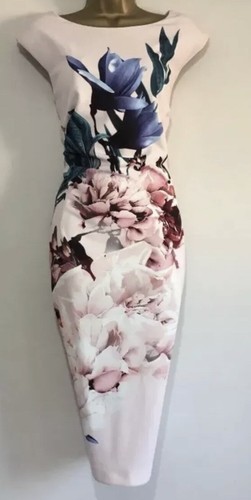 Bnwt gorgeous coast - coast, floral