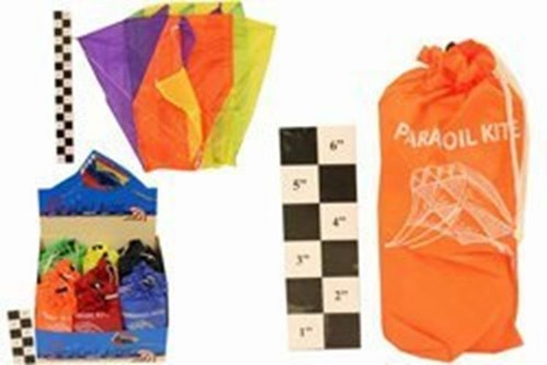 Nylon parafoil kite - in, carry