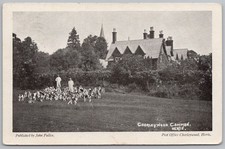 CHORLEYWOOD Hertfordshire Fox