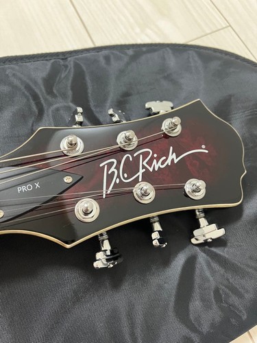 Rich mockingbird electric - rich,