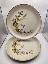 2 x  Harvest Dinner Plates 10.5"  Marks & Spencer St Michael's Stoneware D