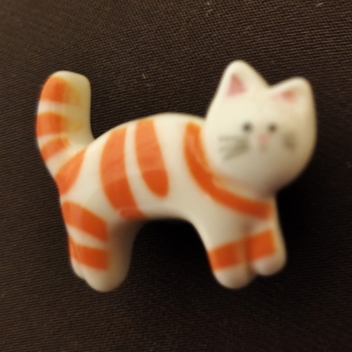 Orange white tabby cat - tabby,