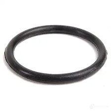 2 x Genuine BMW MINI Supercharged Cooper S JCW GP Water Pump O-Rings - Brand New