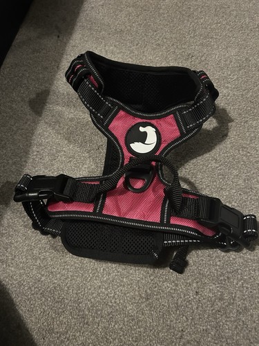 Joytale dog harness medium - harness, no