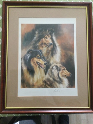 Rough collies mick cawston - collies,