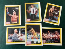 Vintage WWE WWF Merlin 1993