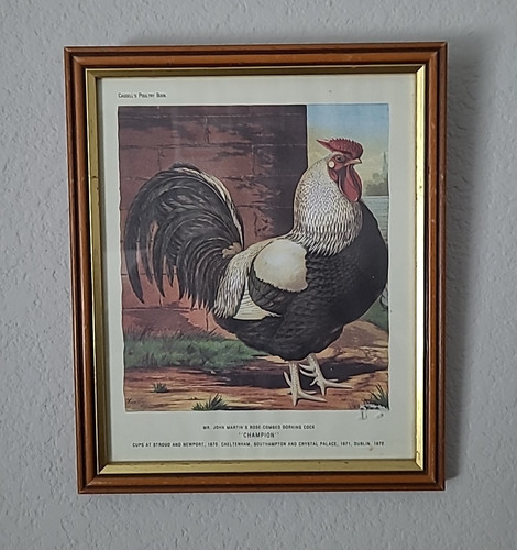 Vintage picture frames old - vintage,