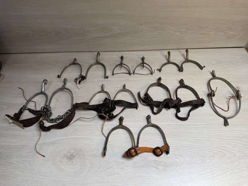 Pairs vintage horse - of,