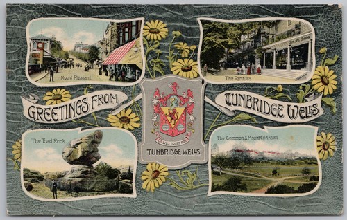 Tunbridge wells kent multi - wells,