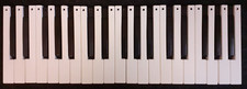 Original arp odyssey - original, keys