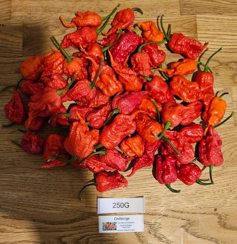 250g fresh carolina reaper - 250g,,