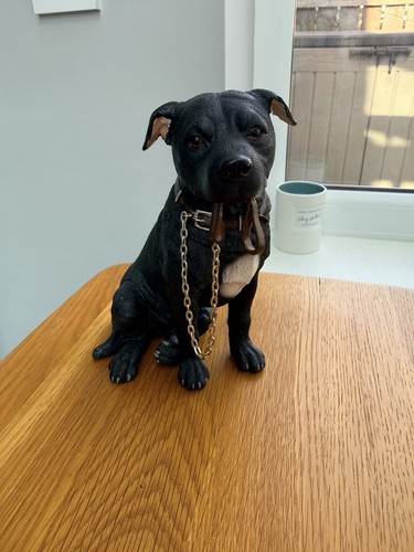 Leonardo collection dog - leonardo,