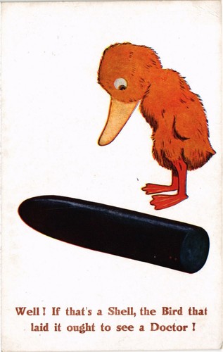 Artist signed birds - signed, duck