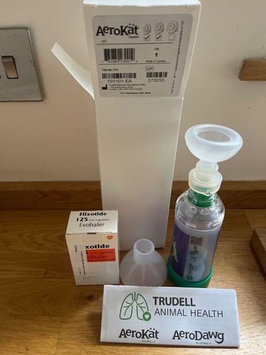 Aerokat inhaler and puffer