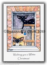 ORIGINAL SIAMESE ORIENTAL CAT