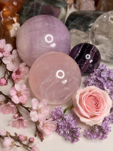 Candy pink girasol sheen rose - candy,